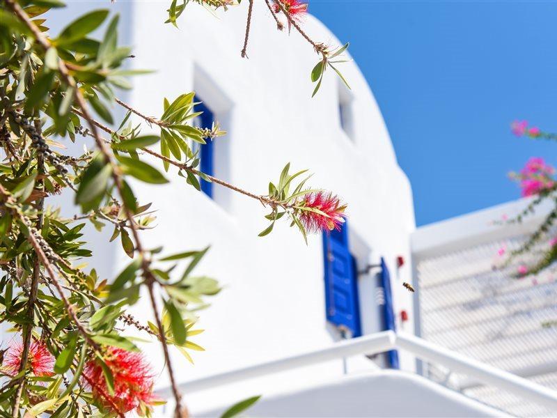 Kouros Village Hotel - Adults Only ペリッサ エクステリア 写真